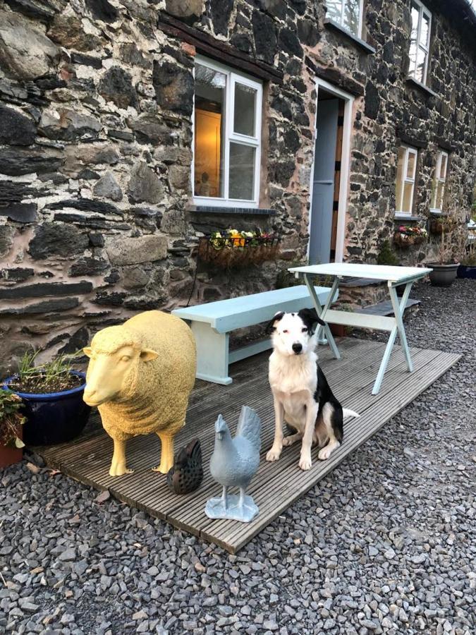 Bryn Glas Wales Villa Llangynog Eksteriør billede